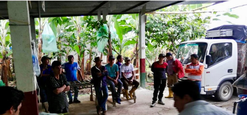 Organic banana composting in Peru & Ecuador
