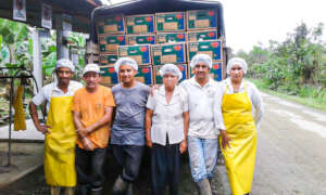 Organic banana composting in Peru & Ecuador