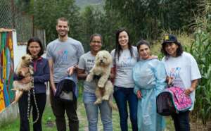 Stray Animal Project team in Acopampa
