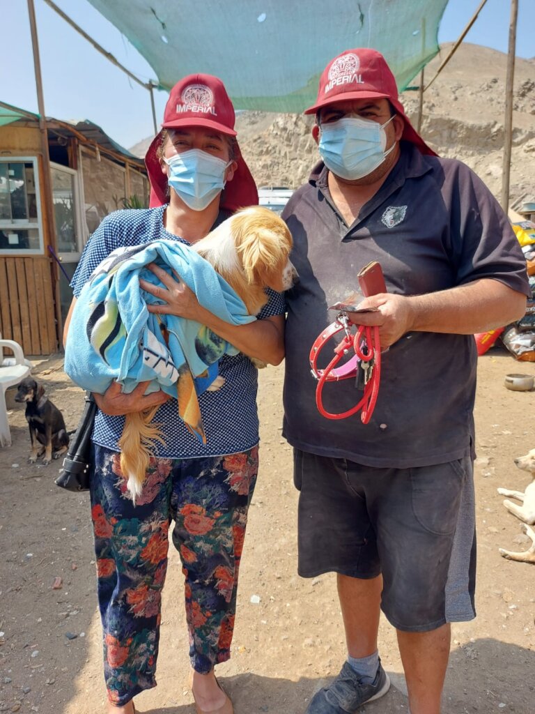 Help spay & neuter 2000 stray animals in Peru