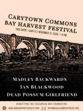 Carytown Commons Bay Harvest Festival