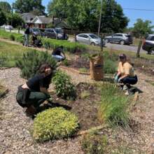 Pollinator Maintenance Day