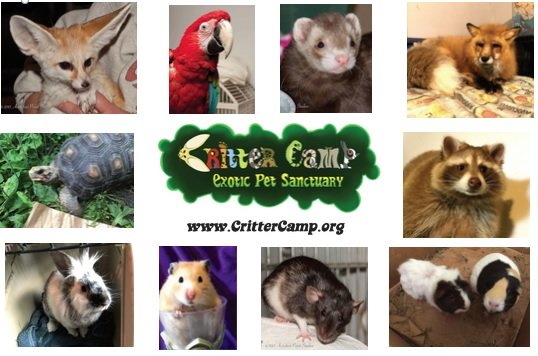 Critter Camp Exotic Pet Sanctuary's New Building