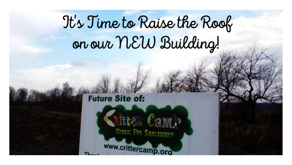 Critter Camp Exotic Pet Sanctuary's New Building