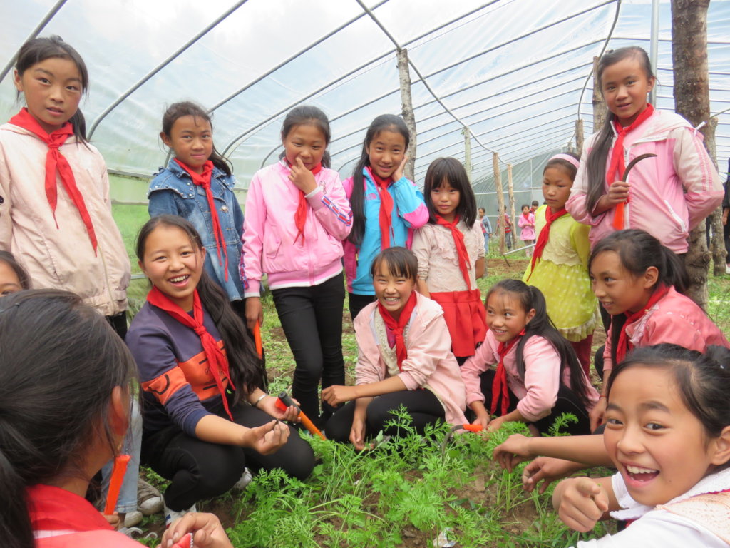 Vegetable garden in school for labor education