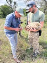 Tilly's Tags being removed.