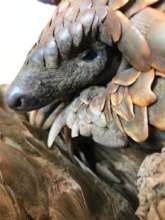 Autumn - Rescued, rehabilitated & released in 2020