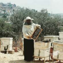Woman beekeeper of Beita village