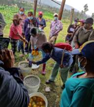 BioFertilizers workshop November 21