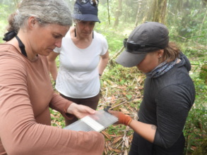 Field research and teamwork in the Cambugan Forest