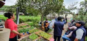 Distribution of fertilizers and seedlings, june