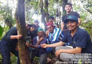 During training: Guardians of the forest 3