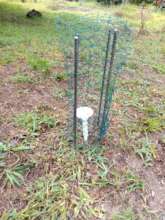 Community monitoring sensors installed ( forest)