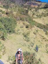 Community members exploring fire-affected landscap