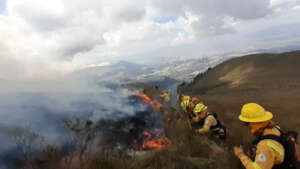 200+ firefighters battled forest fires in late '24