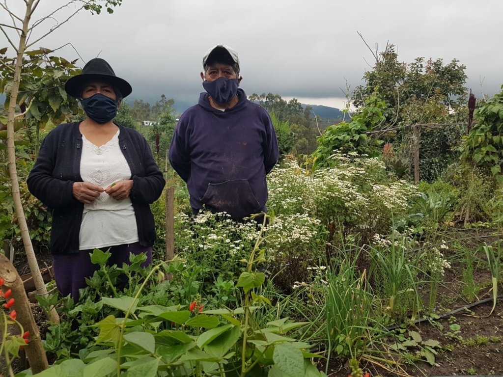 Agroecology for farmers & nature health in Ecuador