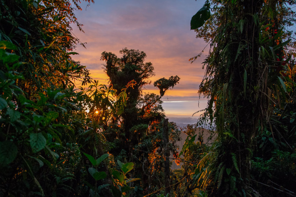 Agroecology for farmers & nature health in Ecuador