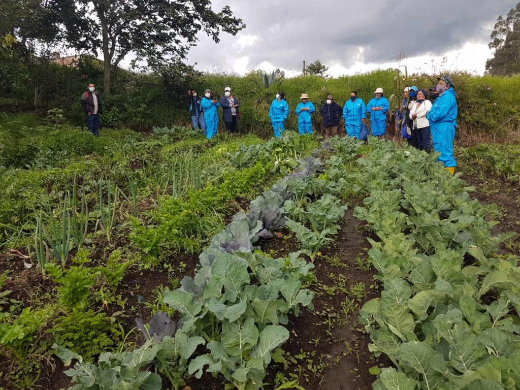 The joy of the farmer who takes care of nature