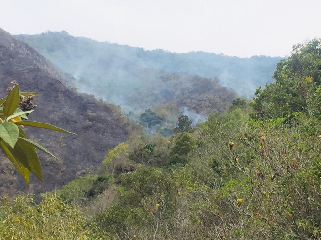 Agroecology for farmers & nature health in Ecuador