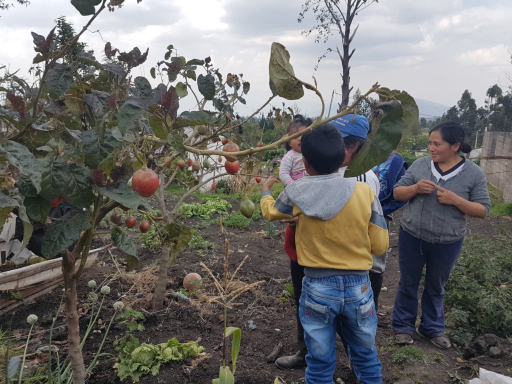 Agroecology for farmers & nature health in Ecuador
