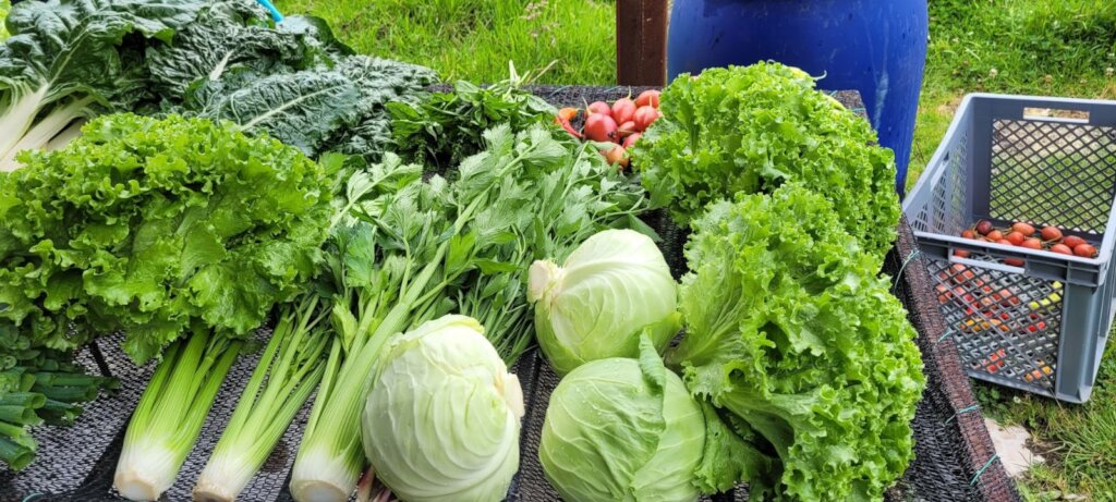 Agroecology for farmers & nature health in Ecuador