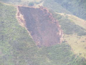 Fires threaten the forest and its fauna