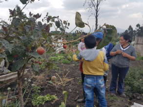 Agroecology benefits the producer first