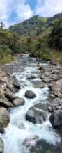Cambugan River flows year-round due to forest.