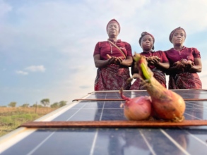 One solar powered water pump cultivates so much
