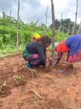 Our staff planting side-by-side with a farmer