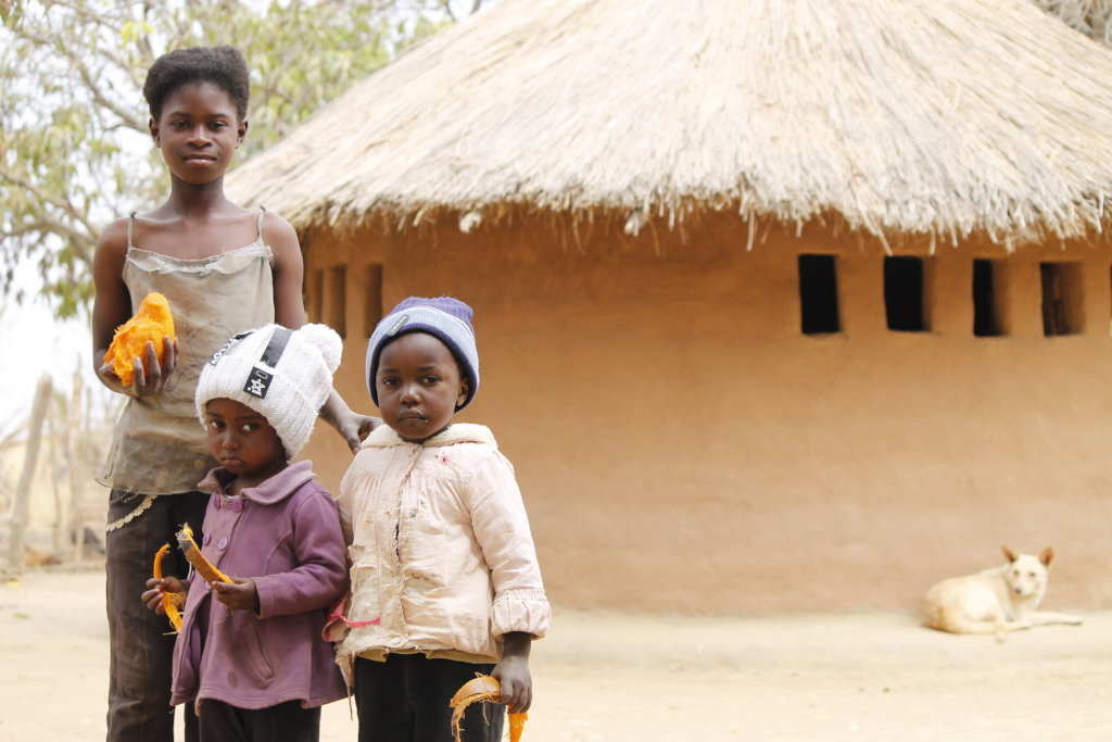 Lift 300+ Zambian Women Out Of Extreme Poverty