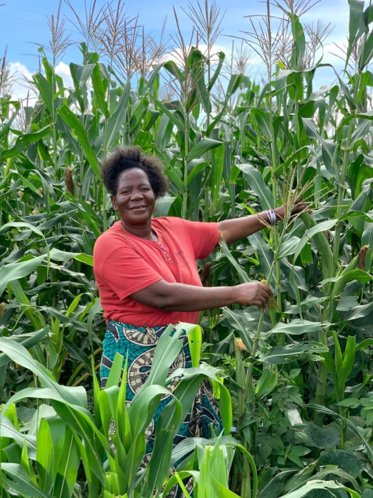 Lift 300+ Zambian Women Out Of Extreme Poverty
