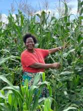 Subsistence Maize --> Cash Rich Vegetables