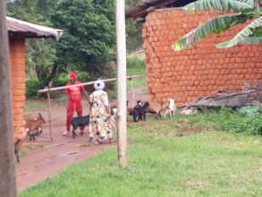 Stanley, a goat farmer in Mbengwi and beneficiary