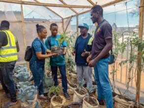 Participants experience in a greenhouse