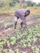 Farm experience with participant