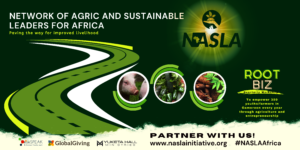 ROOTBiz banner