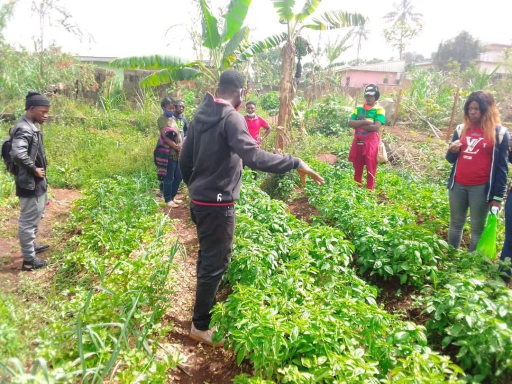 Help young lives learn how to farm in Africa