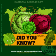 Did You Know? Cabbage