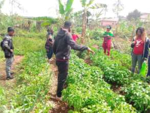 ROOTBIZ Field Trip to a local farm