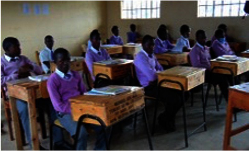 Provide Clean Water for a School in Gilgil, Kenya