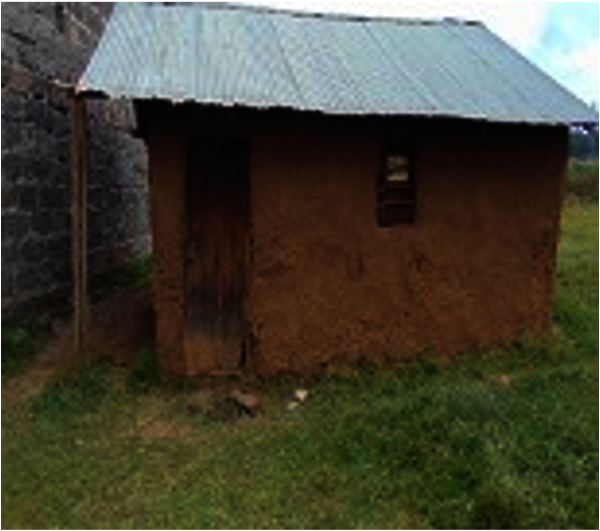 Provide Clean Water for a School in Gilgil, Kenya