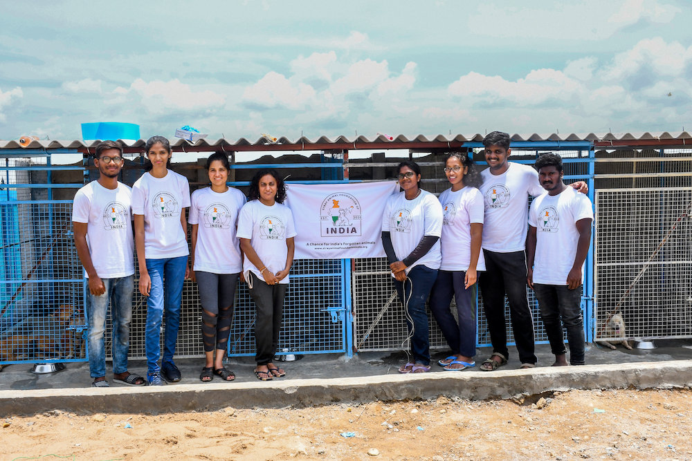 Ambulance project to save street animals In India