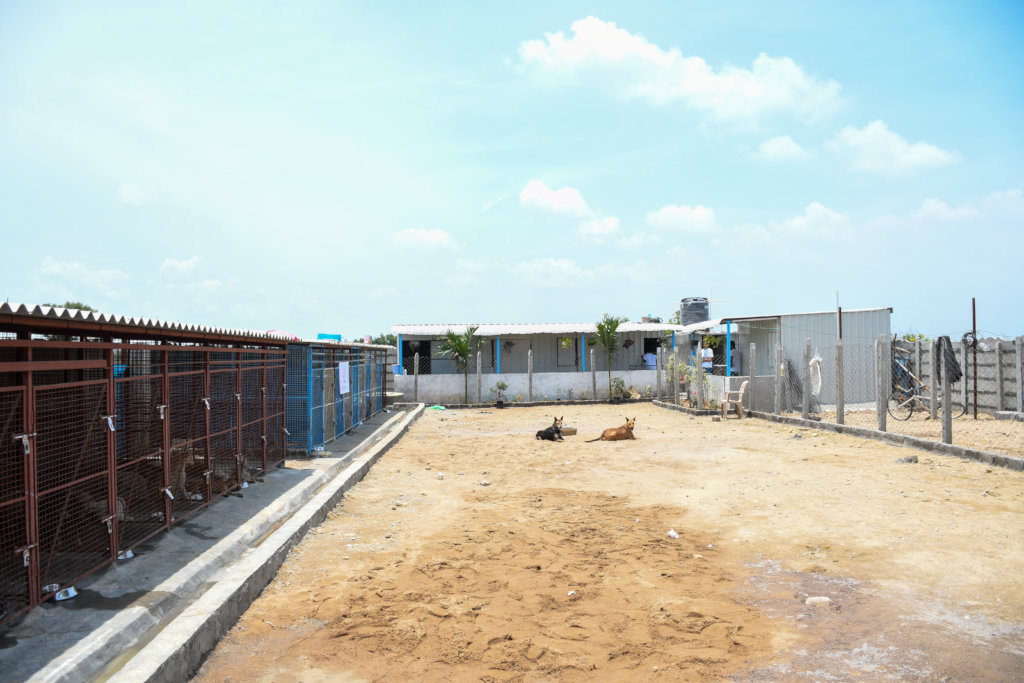 Ambulance project to save street animals In India