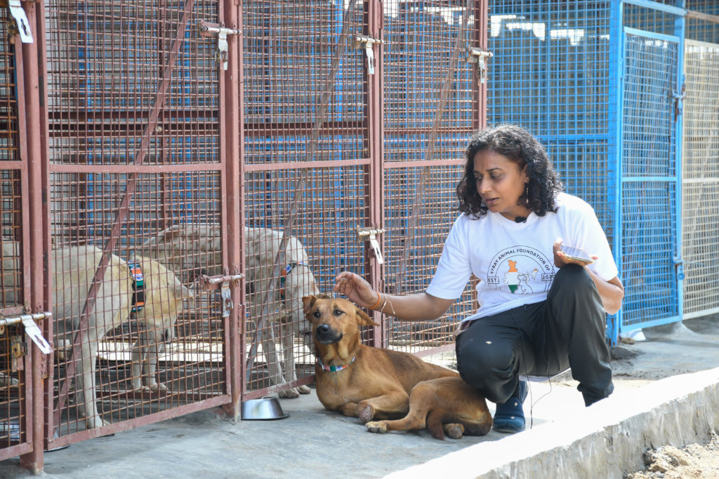 Ambulance project to save street animals In India