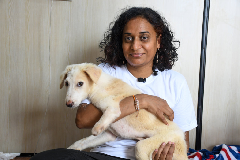 Ambulance project to save street animals In India