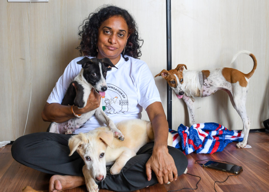 Ambulance project to save street animals In India