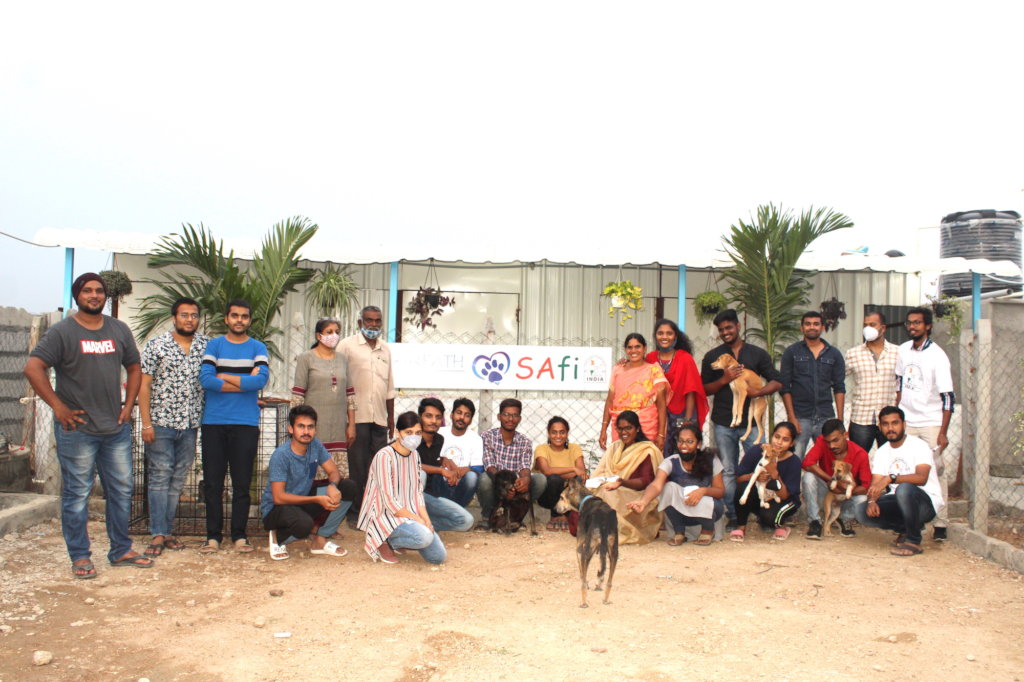 Ambulance project to save street animals In India