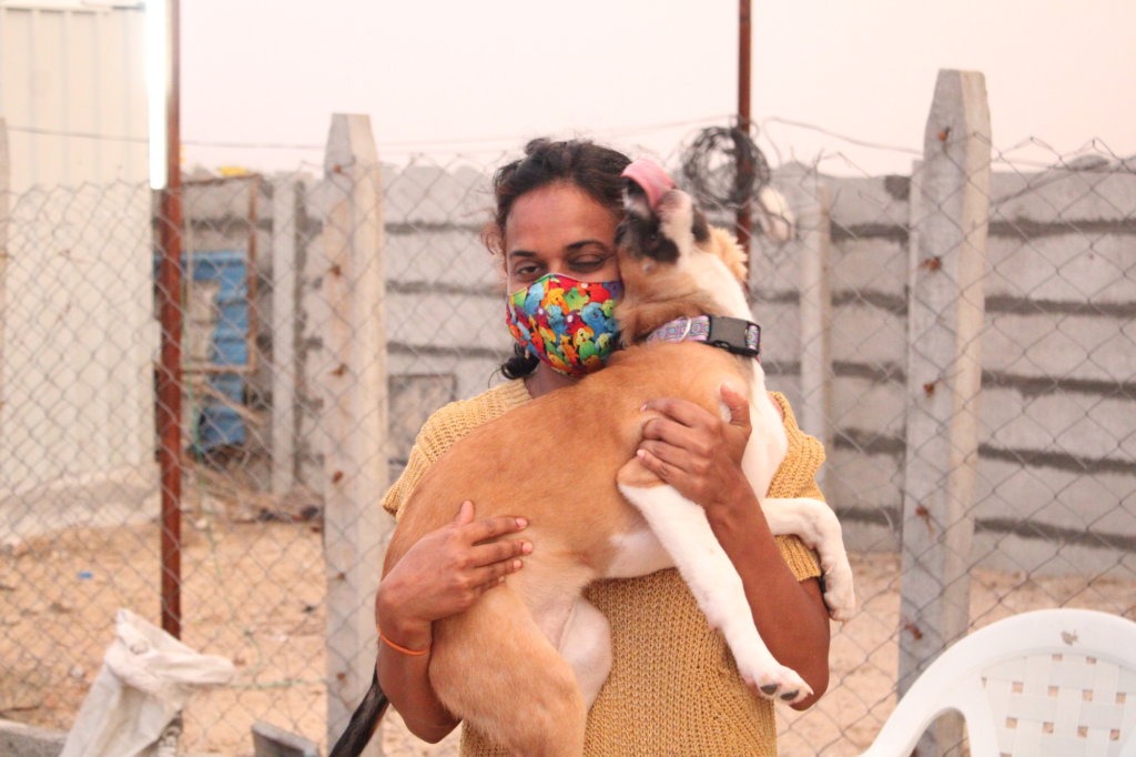 Ambulance project to save street animals In India