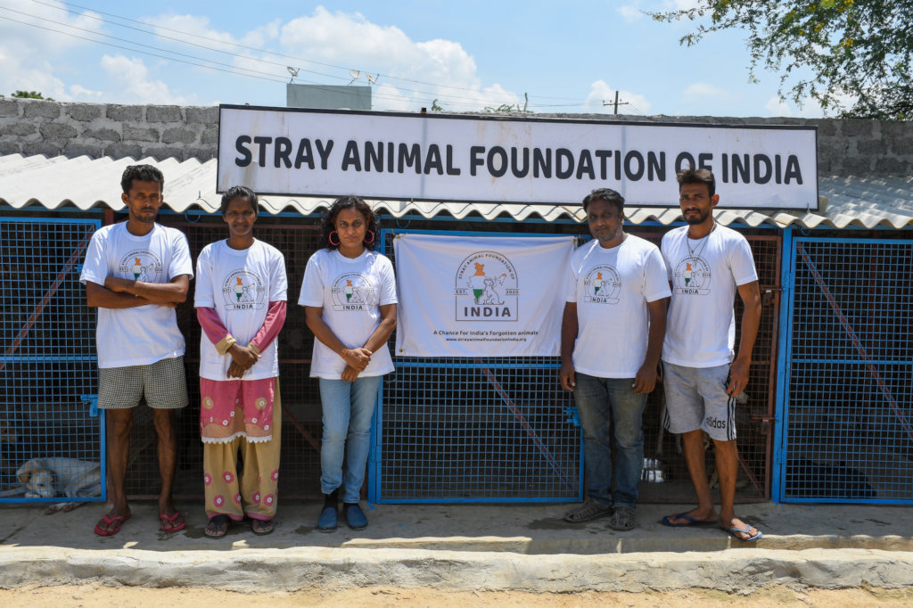 Ambulance project to save street animals In India